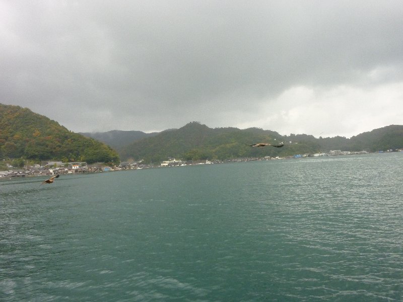 2016-210.JPG